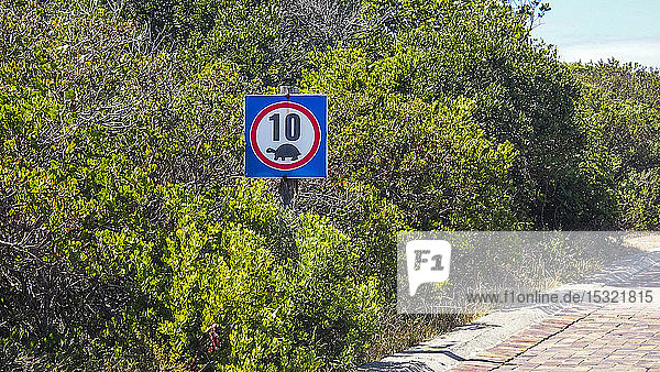 Südafrika  Garden Route  Plettenberg  Schild zur Geschwindigkeitsreduzierung zum Schutz der Schildkröten