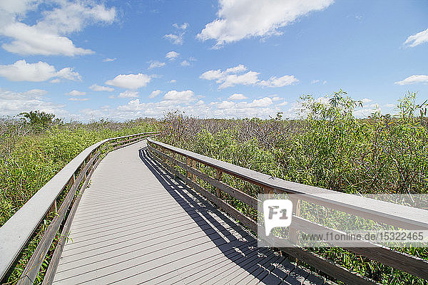 USA. Florida. Everglades National Park. Anhinga Trail. Hiking footbridge in the vegetation.