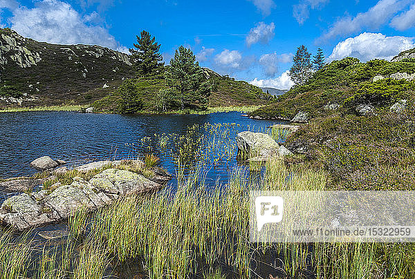 Frankreich  Regionaler Naturpark Pyrenäen Ariegeoises  Bassies-See  GR 10