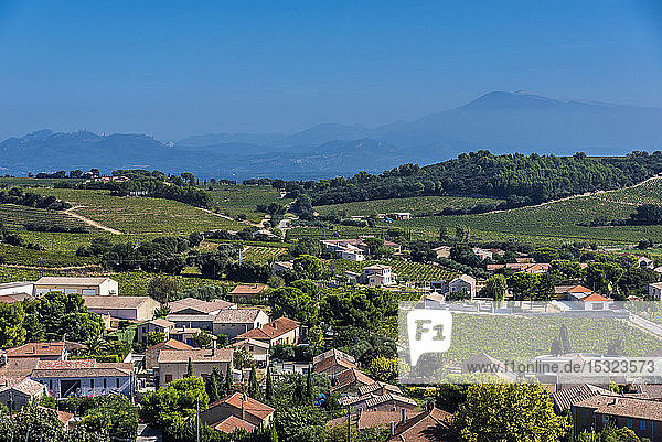 Frankreich  Provence  Vaucluse  ChÃ¢teauneuf-du-Pape Dorf und Weinberge