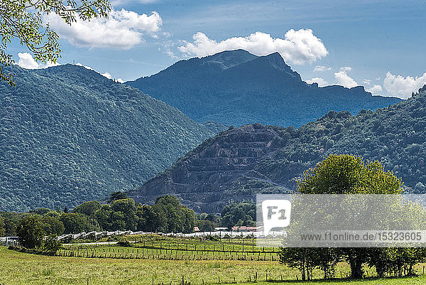 Frankreich  Piemont der Pyrenäen  Haute Garonne  Saint Bertrand de Comminges  Apfelbäume und Berge im Hintergrund