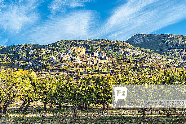 Spanien  Autonome Gemeinschaft Aragonien  Provinz Huesca  Festung von Loarre (11.-13. Jahrhundert) von der landwirtschaftlichen Ebene aus gesehen