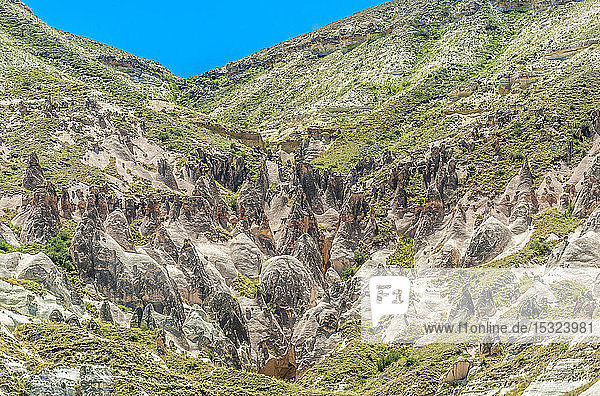 Türkei  Goreme-Nationalpark und die Felsenstätten von Kappadokien  Hoodoos in Entwicklung im Pasabag-Tal (UNESCO-Welterbe)