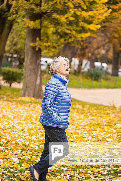 Porträt einer lächelnden hübschen älteren Frau  die in einem Park vor gelben Blättern spazieren geht.