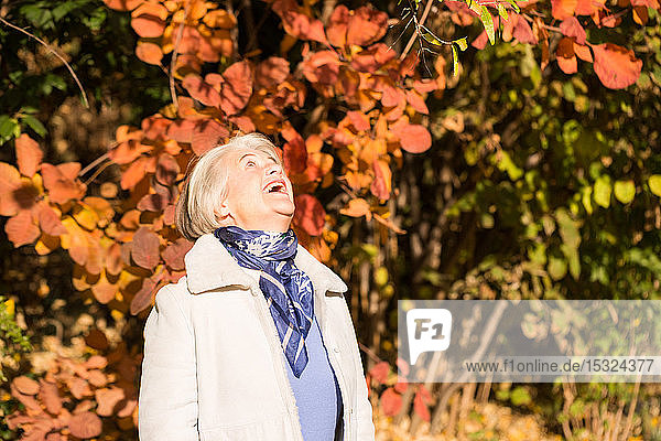 Blick auf eine hübsche lächelnde Oma  die in die Natur in herbstlichen Farben blickt.
