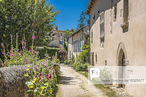Frankreich  Dordogne  Perigord Vert  Saint-Jean-de-Cole (Plus Beau Village de France - Das schönste Dorf Frankreichs)  Bauernhäuser mit Blumen entlang der Straße