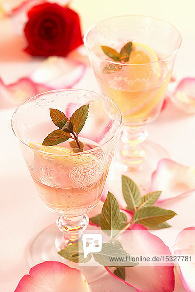 Hausgemachter Rosensaft mit Zucker  Zitrone und frischen Rosenblättern