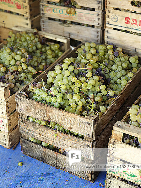 Kisten mit Trauben während der Weinlese