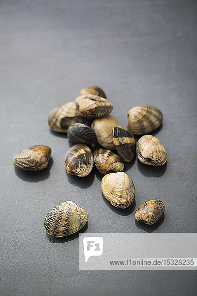 Fresh clams