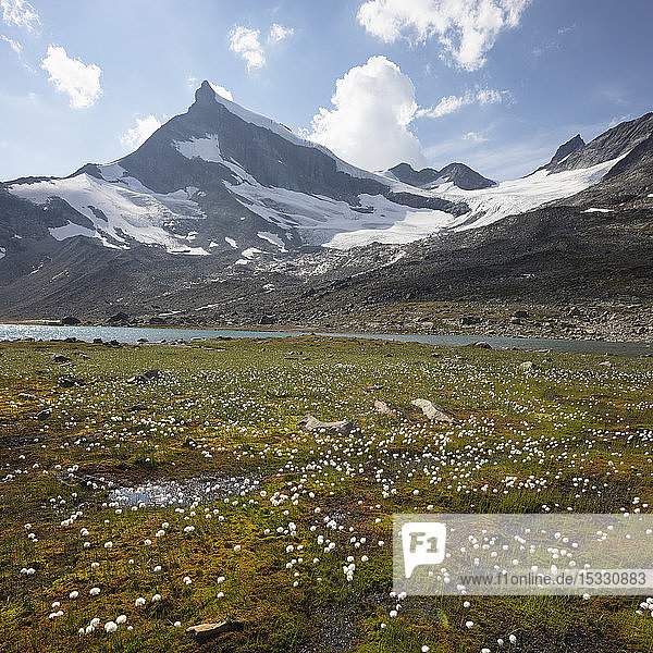 Mountain Bjornbrean in Jotunheimen National Park Norway