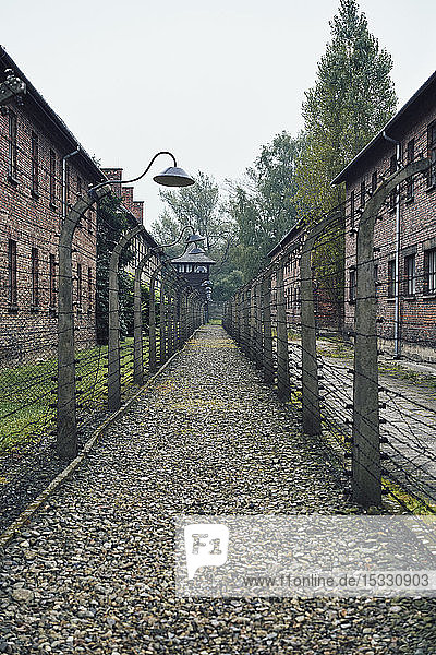 Weg zwischen Zäunen im Konzentrationslager Auschwitz