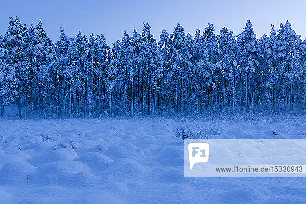 Erdhügel im Schnee im Naturschutzgebiet Stora Botet,  Schweden