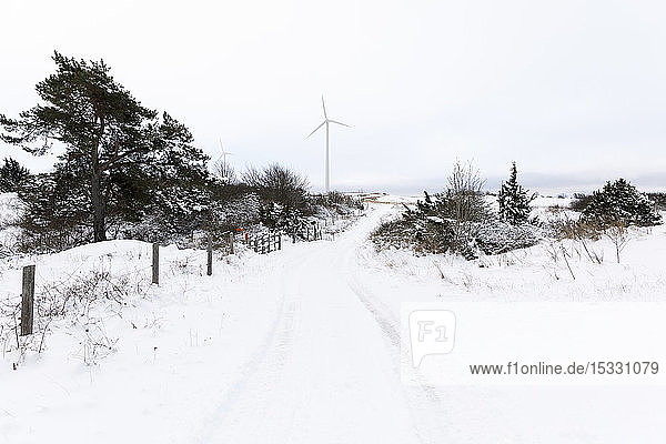 Rural road covered with snow