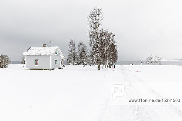 Haus bei Bäumen im Schnee