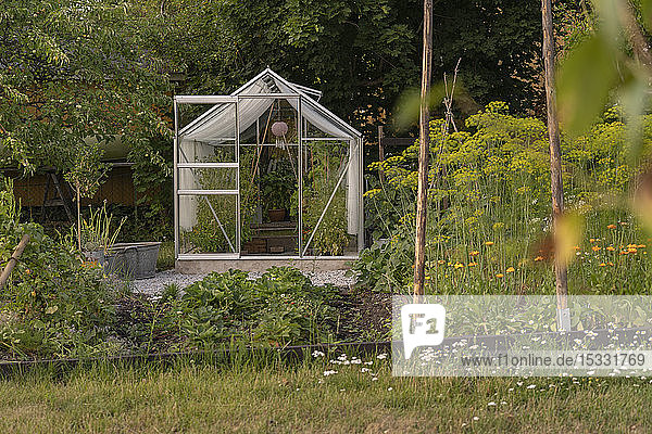 Greenhouse in garden
