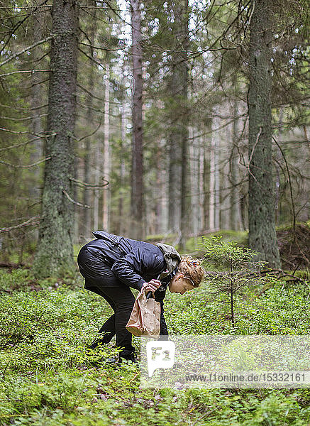 Woman picking mushrooms in forest