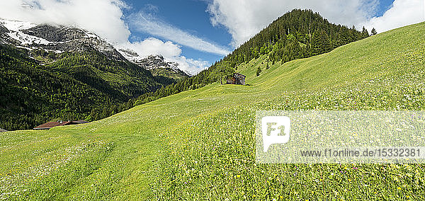 Austria Tyrol Allgau Alps Hornbach valley a side valley of the Lech watershed barn