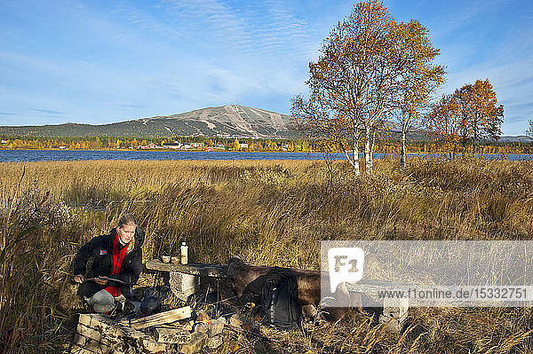 Picknick am Yllasjarvi-See  Birke (Betula pubescens)  Ruska-Zeit (Herbst)  Lappland  Finnland