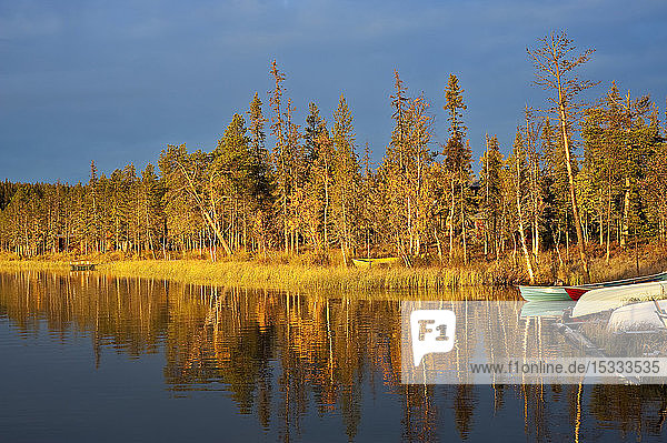 Kesanki-See bei Sonnenaufgang  Taigawald  Ruska-Zeit (Herbst)  Pallas-Yllastunturi-Nationalpark  Lappland  Finnland