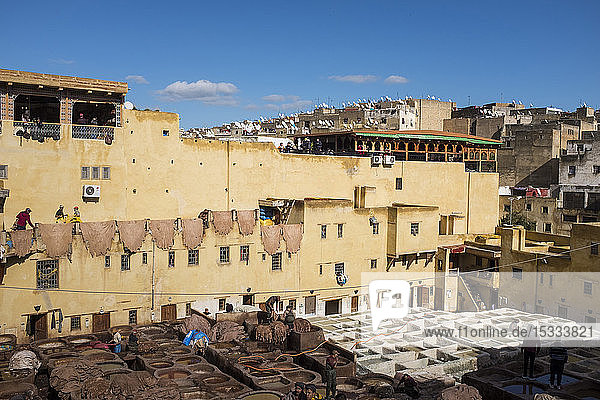 Morocco  Fes  Medina  tannery