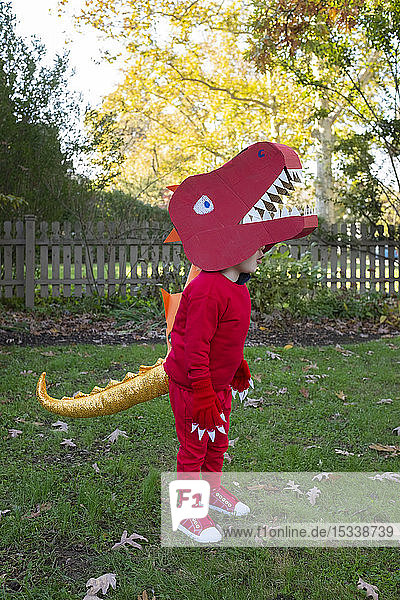 Junge verkleidet als roter Dinosaurier