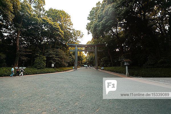 Torii gate at Meiji Jingu shrine in Tokyo