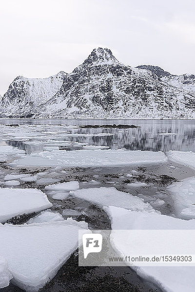 Eisformationen und schneebedeckte Berge  Lofoten Inseln  Nordland  Arktis  Norwegen  Europa