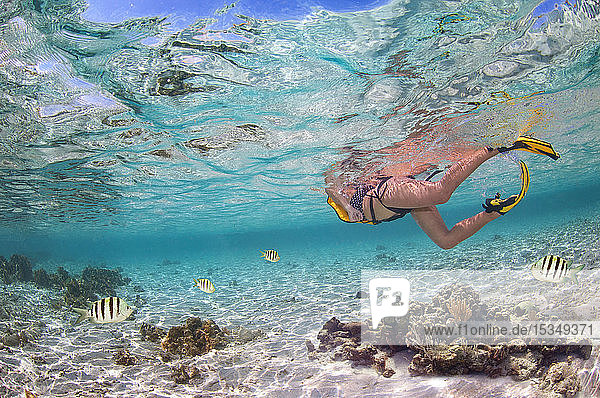 Snorkeling Roatan Honduras Caribbean Central America