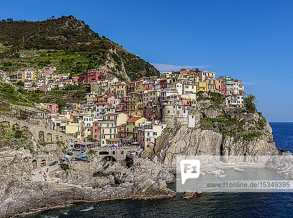 Manarola  Cinque Terre  UNESCO World Heritage Site  Liguria  Italy  Europe