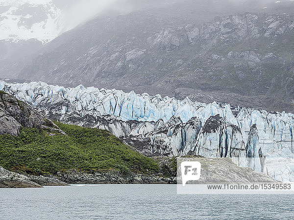Lamplugh Glacier  ein Gezeitengletscher im Glacier Bay National Park and Preserve  Südost-Alaska  Vereinigte Staaten von Amerika  Nordamerika