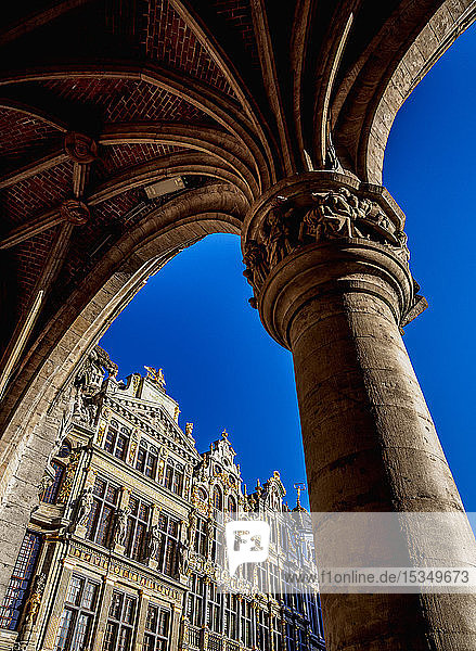Häuser am Grand Place  UNESCO-Weltkulturerbe  Brüssel  Belgien  Europa