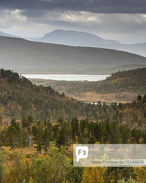 Blick über den Anderdalen-Nationalpark  Senja  Norwegen  Skandinavien  Europa