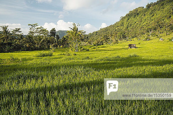 Landschaft bei Sidemen  Bali  Indonesien  Südostasien  Asien