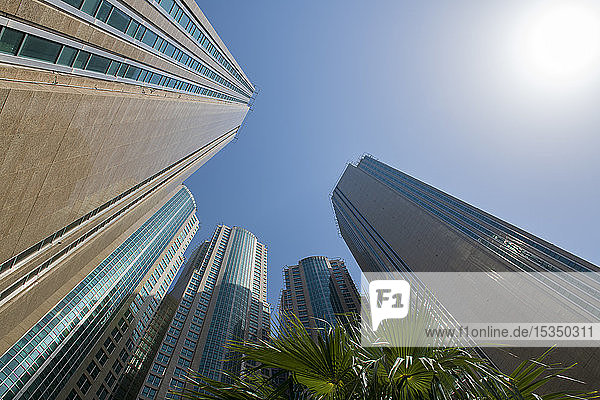 Blick in den Himmel auf Wolkenkratzer  Abu Dhabi  Vereinigte Arabische Emirate  Naher Osten