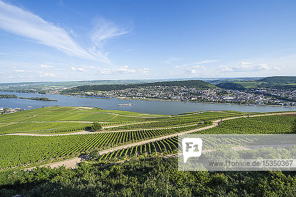 Blick auf den Rhein vom Niederwalddenkmal  UNESCO-Welterbe  Mittelrheintal  Deutschland  Europa