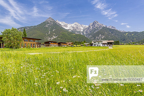 Blick auf die Landschaft bei Ulrich am Pillersee  Österreichische Alpen  Tirol  Österreich  Europa