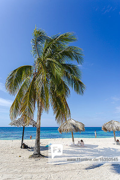 Palmen und Sonnenschirme am Strand Playa Ancon bei Trinidad  Trinidad  Kuba  Westindien  Karibik  Mittelamerika