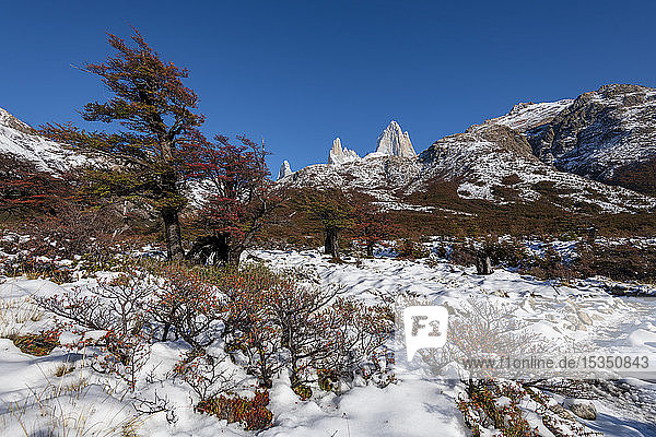 Der Berg Fitz Roy mit Herbstfarben und Schnee  UNESCO-Weltkulturerbe  El Chalten  Patagonien  Argentinien  Südamerika