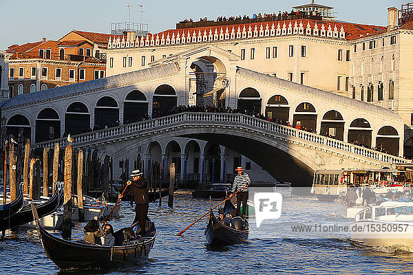 Rialtobrücke und Canal Grande mit Gondoliere auf Gondel  Venedig  UNESCO-Weltkulturerbe  Venetien  Italien  Europa