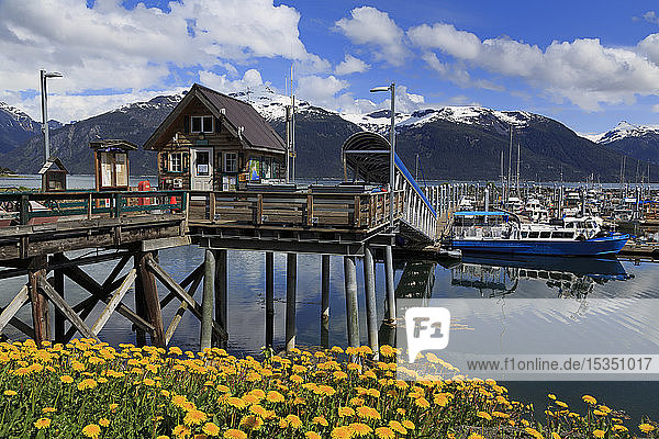Hafenmeisterei  Hafen für kleine Boote  Haines  Lynn Canal  Alaska  Vereinigte Staaten von Amerika  Nord-Amerika