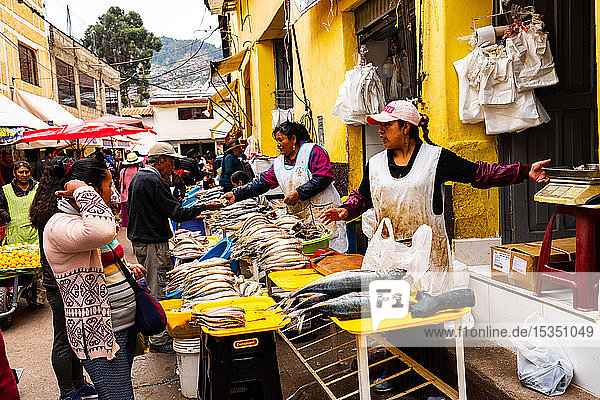 Fischhändlerinnen verkaufen an ihren Ständen in der Nähe des San Pedro-Marktes  Cusco  UNESCO-Weltkulturerbe  Heiliges Tal  Peru  Südamerika