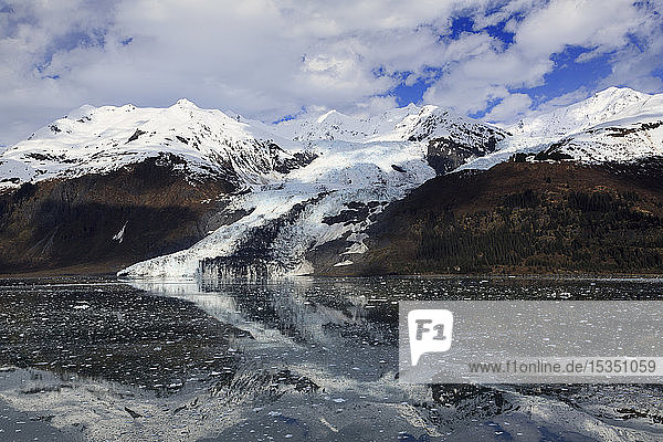 Gletscher im College Fjord  Südost-Alaska  Vereinigte Staaten von Amerika  Nordamerika