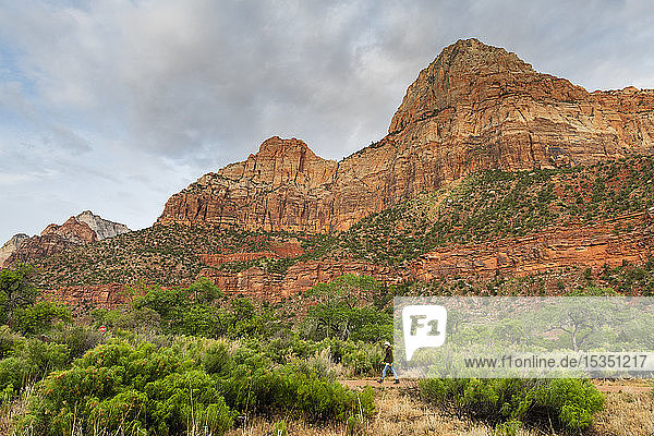 Wanderung auf dem Pa'rus Trail  Zion National Park  Utah  Vereinigte Staaten von Amerika  Nordamerika