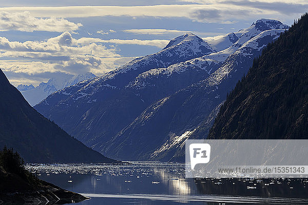 Endicott Arm  Holkham Bay  Juneau  Alaska  Vereinigte Staaten von Amerika  Nordamerika