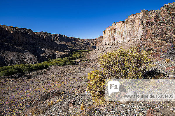Blick auf die Pinturas-Schlucht  Patagonien  Provinz Santa Cruz  Argentinien  Südamerika