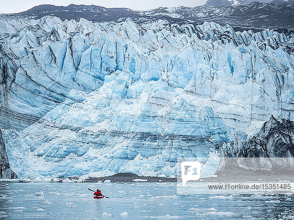 A kayaker paddling in front of Lamplugh Glacier Glacier Bay National Park and Preserve UNESCO World Heritage Site Alaska United States of America North America
