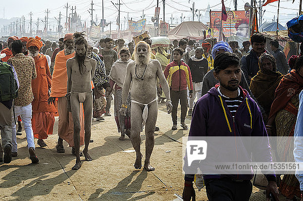 Sadhus gehen zwischen Pilgern  Allahabad Kumbh Mela  größte religiöse Versammlung der Welt  Allahabad  Uttar Pradesh  Indien  Asien