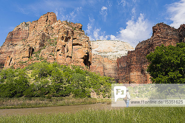 Angels Landing und der Virgin River im Zion Canyon  Zion National Park  Utah  Vereinigte Staaten von Amerika  Nordamerika