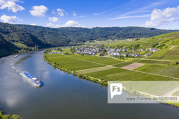 River cruise ship on the Moselle at Mehring Moselle valley Rhineland-Palatinate Germany Europe