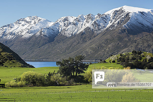 Ländliche Szene am Lake Wanaka mit schneebedeckten Bergen im Hintergrund  Wanaka  Otago  Südinsel  Neuseeland  Pazifik